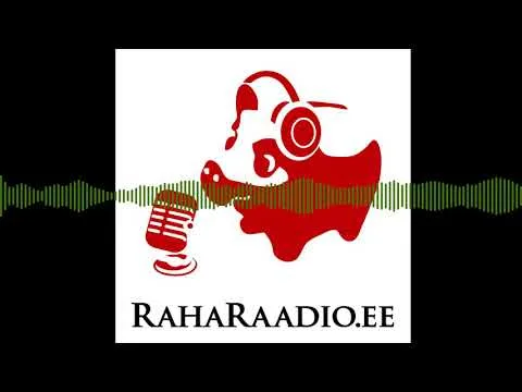 RR044 – Kas on võimalik liiga palju investeerida?