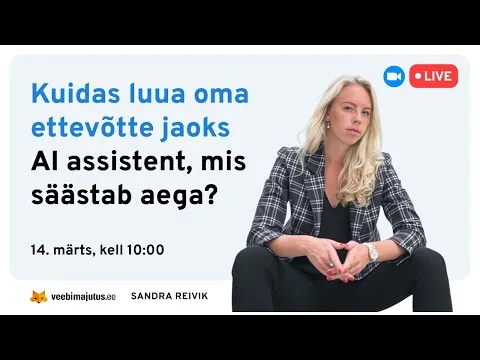 Kuidas luua oma ettevõtte jaoks AI assistent, mis aitab säästa aega? / Sandra Reivik