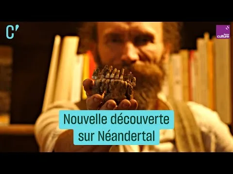 Cette mâchoire nous en apprend plus sur l’extinction de l’Homme de Néandertal