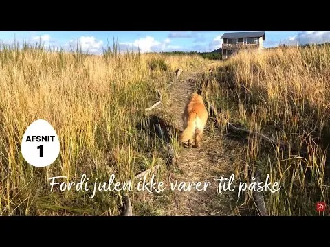Aktionærens Påskekalender – Afsnit 1