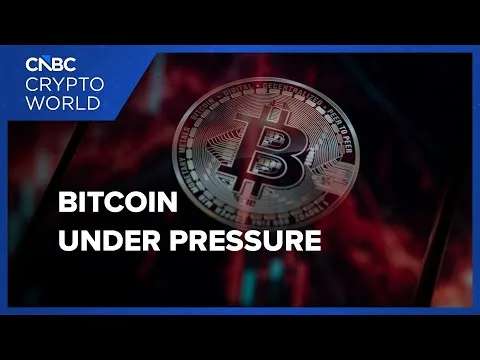 Bitcoin faces selling pressure as investors rotate out of risk-on assets: CNBC Crypto World