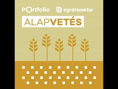 Most dől el a magyar bor jövője – A fiatalok kezében lehet az ütőkártya?