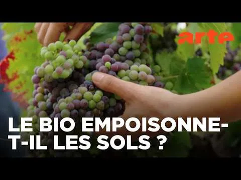 Le vin bio, vraiment bio ? | Documentaire | ARTE