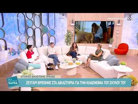 Ζευγάρι βρέθηκε στα δικαστήρια για την κηδεμονία του σκυλιού του