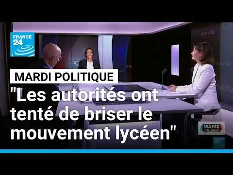 Eva Sas (Les Écologistes) : “Les autorités ont tenté de briser le mouvement lycéen”