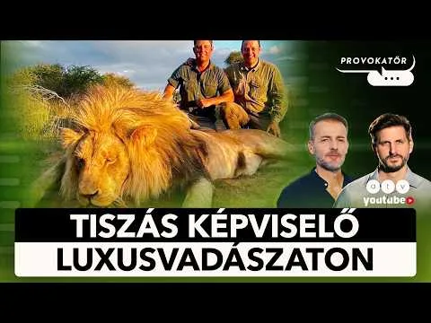 Oroszlánt lőtt Kaprinyák | A magyarok fele arrogánsnak gondolja Magyar Pétert | PROVOKATŐR